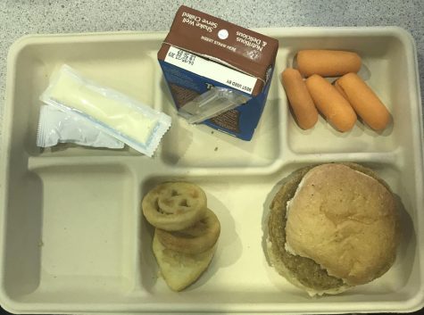 School lunch unsatisfactory, says recent student survey