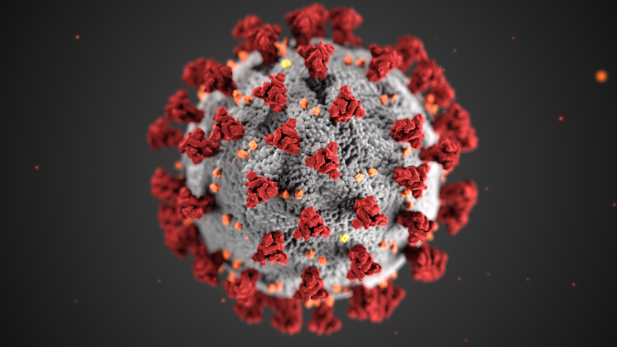 An illustration created by the CDC showing the ultrastructural morphology exhibited by coronaviruses