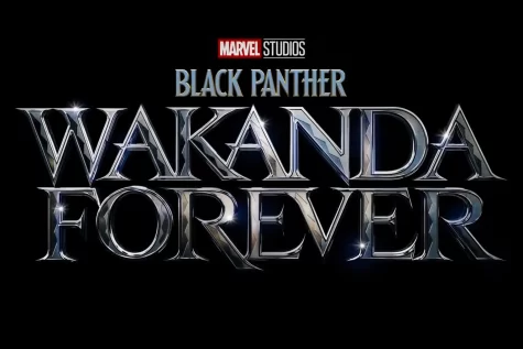 Wakanda Forever: An Underwhelming Development