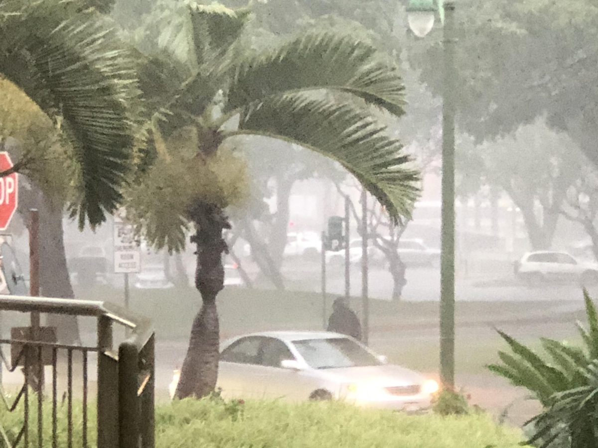 Storming Weather at Queen's Medical Center. Rain and Wind caused mild flooding throughout the day.