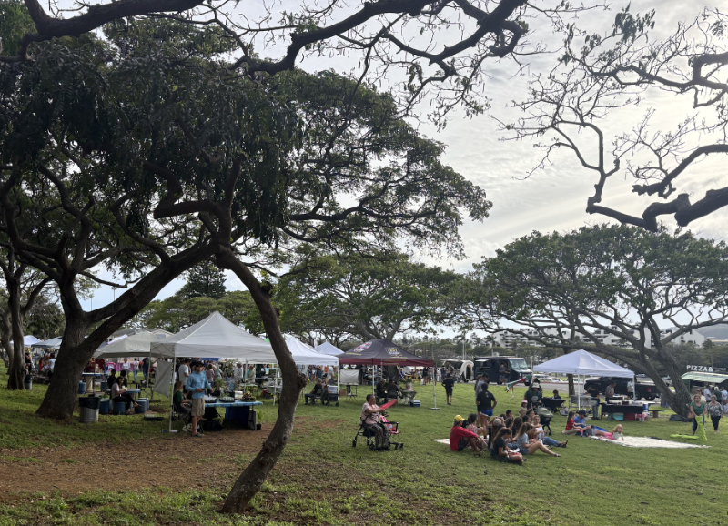 The Wipeout Crew's 12th Annual Earth Fest